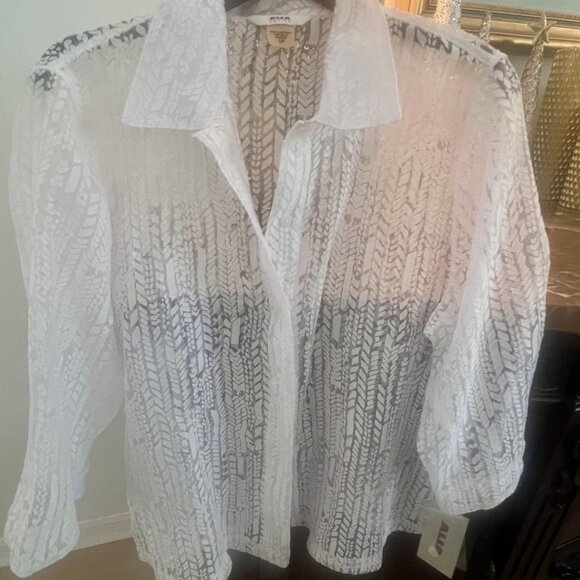 White Sheer Button Down - Picture 4 of 4